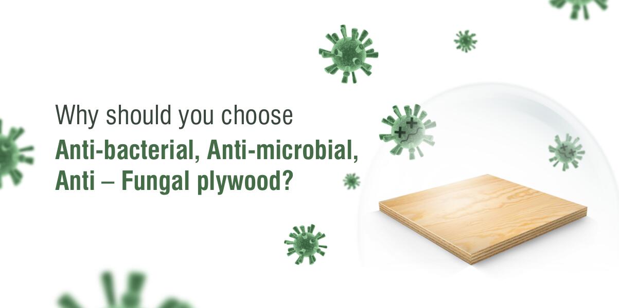 Why should you choose  Anti-bacterial, Anti-microbial, Anti-fungal plywood?