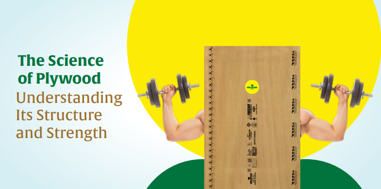 The Science of Plywood: Understanding Its Structure and Strength