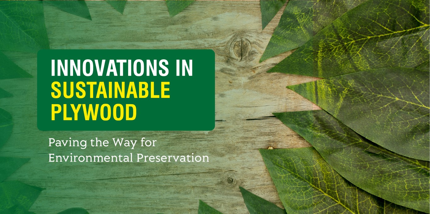 Innovations in Sustainable Plywood: Paving the Way for Environmental Preservation