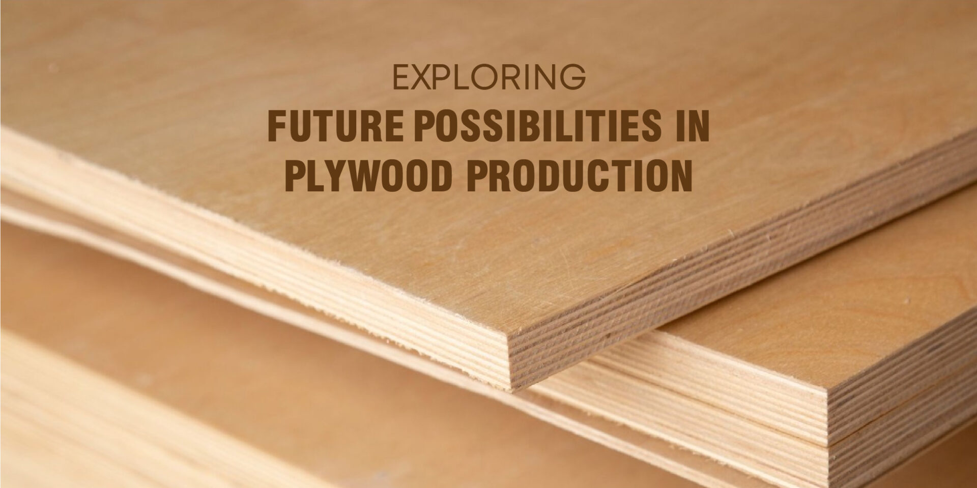 Exploring Future Possibilities in Plywood Production