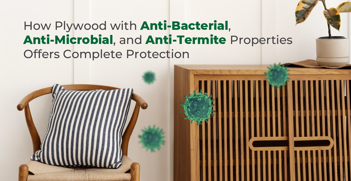 How Plywood with Anti-Bacterial, Anti-Microbial, and Anti-Termite Properties Offers Complete Protection