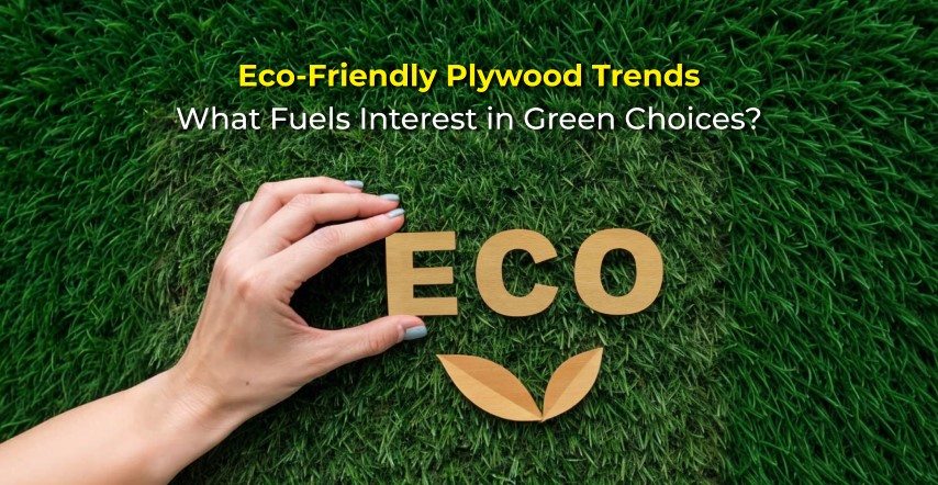 Eco-Friendly Plywood Trends What Fuels Interest in Green Choices