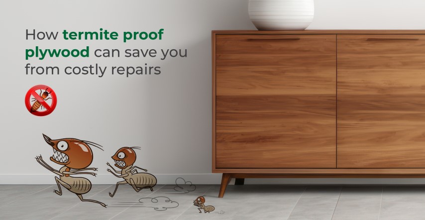 How Termite Proof Plywood Can Save You from Costly Repairs