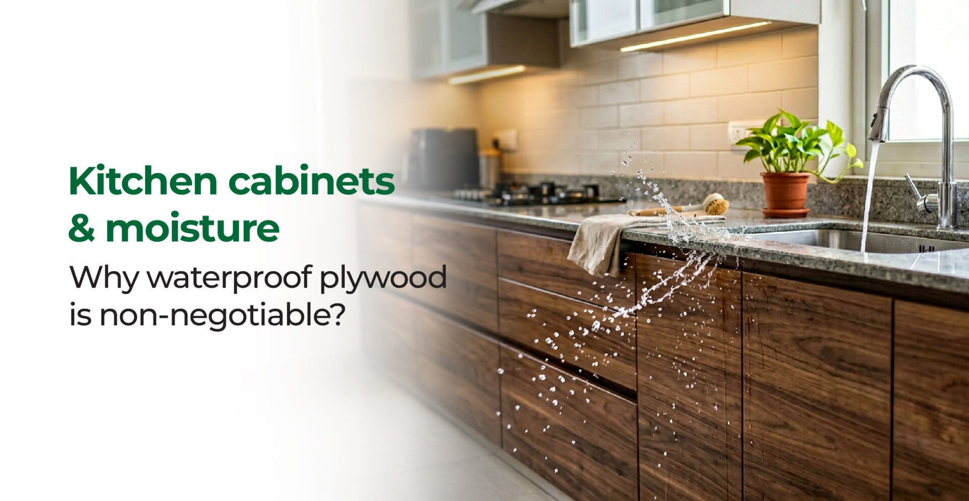 Kitchen Cabinets & Moisture – Why Waterproof Plywood Is Non-Negotiable