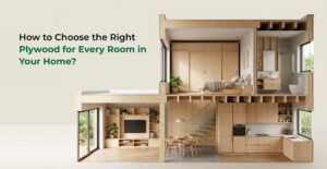 How to Choose the Right Plywood for Every Room