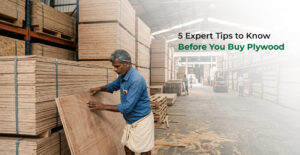 Tips to Know Before Buy Plywood